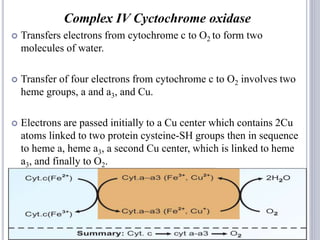 Complex IV Cyctochrome oxidase
 Transfers electrons from cytochrome c to O2 to form two
molecules of water.
 Transfer of four electrons from cytochrome c to O2 involves two
heme groups, a and a3, and Cu.
 Electrons are passed initially to a Cu center which contains 2Cu
atoms linked to two protein cysteine-SH groups then in sequence
to heme a, heme a3, a second Cu center, which is linked to heme
a3, and finally to O2.
43
 