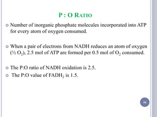P : O RATIO
 Number of inorganic phosphate molecules incorporated into ATP
for every atom of oxygen consumed.
 When a pair of electrons from NADH reduces an atom of oxygen
(½ O2), 2.5 mol of ATP are formed per 0.5 mol of O2 consumed.
 The P:O ratio of NADH oxidation is 2.5.
 The P:O value of FADH2 is 1.5.
54
 