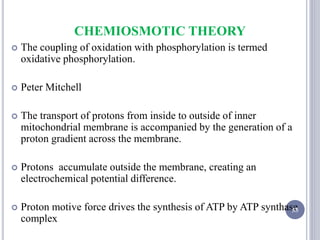 CHEMIOSMOTIC THEORY
 The coupling of oxidation with phosphorylation is termed
oxidative phosphorylation.
 Peter Mitchell
 The transport of protons from inside to outside of inner
mitochondrial membrane is accompanied by the generation of a
proton gradient across the membrane.
 Protons accumulate outside the membrane, creating an
electrochemical potential difference.
 Proton motive force drives the synthesis of ATP by ATP synthase
complex
55
 