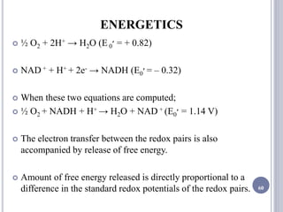 ENERGETICS
 ½ O2 + 2H+ → H2O (E 0‫׳‬ = + 0.82)
 NAD + + H+ + 2e- → NADH (E0‫׳‬ = – 0.32)
 When these two equations are computed;
 ½ O2 + NADH + H+ → H2O + NAD + (E0‫׳‬ = 1.14 V)
 The electron transfer between the redox pairs is also
accompanied by release of free energy.
 Amount of free energy released is directly proportional to a
difference in the standard redox potentials of the redox pairs. 60
 