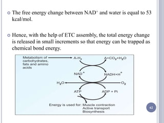  The free energy change between NAD+ and water is equal to 53
kcal/mol.
 Hence, with the help of ETC assembly, the total energy change
is released in small increments so that energy can be trapped as
chemical bond energy.
62
 
