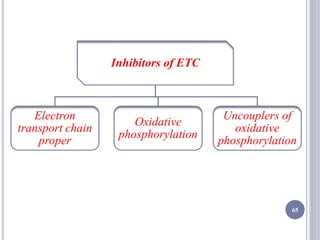 Inhibitors of ETC
Electron
transport chain
proper
Oxidative
phosphorylation
Uncouplers of
oxidative
phosphorylation
65
 