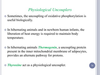 Physiological Uncouplers
 Sometimes, the uncoupling of oxidative phosphorylation is
useful biologically.
 In hibernating animals and in newborn human infants, the
liberation of heat energy is required to maintain body
temperature.
 In hibernating animals Thermogenin, a uncoupling protein
present in the inner mitochondrial membrane of adipocytes,
provides an alternate pathway for protons.
 Thyroxine act as a physiological uncoupler. 73
 