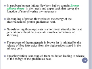 In newborn human infants Newborn babies contain Brown
adipose tissue in their neck and upper back that serves the
function of non-shivering thermogenesis.
 Uncoupling of proton flow releases the energy of the
electrochemical proton gradient as heat.
 Non-shivering thermogenesis is a hormonal stimulus for heat
generation without the associate muscle contractions of
shivering.
 The process of thermogenesis in brown fat is initiated by the
release of free fatty acids from the triglycerides stored in the
adipose cells.
 Phosphorylation is uncoupled from oxidation leading to release
of the energy of the gradient as heat. 74
 
