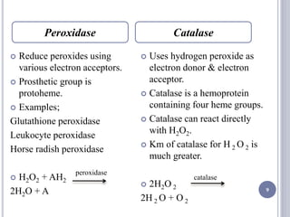 9
 Reduce peroxides using
various electron acceptors.
 Prosthetic group is
protoheme.
 Examples;
Glutathione peroxidase
Leukocyte peroxidase
Horse radish peroxidase
 H2O2 + AH2
2H2O + A
 Uses hydrogen peroxide as
electron donor & electron
acceptor.
 Catalase is a hemoprotein
containing four heme groups.
 Catalase can react directly
with H2O2.
 Km of catalase for H 2 O 2 is
much greater.
 2H2O 2
2H 2 O + O 2
Peroxidase Catalase
peroxidase
catalase
 