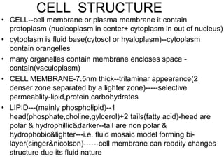 CELL STRUCTURE
• CELL--cell membrane or plasma membrane it contain
protoplasm (nucleoplasm in center+ cytoplasm in out of nucleus)
• cytoplasm is fluid base(cytosol or hyaloplasm)--cytoplasm
contain orangelles
• many organelles contain membrane encloses space -
contain(vaculoplasm)
• CELL MEMBRANE-7.5nm thick--trilaminar appearance(2
denser zone separated by a lighter zone)-----selective
permeablity-lipid,protein,carbohydrates
• LIPID---(mainly phospholipid)--1
head(phosphate,choline,gylcerol)+2 tails(fatty acid)-head are
polar & hydrophillic&darker--tail are non polar &
hydrophobic&lighter---i.e. fluid mosaic model forming bi-
layer(singer&nicolson)------cell membrane can readily changes
structure due its fluid nature
 