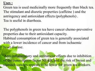 Uses :
Green tea is used medicinally more frequently than black tea.
The stimulant and diuretic properties (caffeine ) and the
astringency and antioxidant effects (polyphenols) .
Tea is useful in diarrhoea.
The polyphenols in green tea have cancer chemo-preventive
properties due to their antioxidant capacity.
Habitual consumption of green tea is generally associated
with a lower incidence of cancer and from ischaemic
heart disease.
Anti-inflammatory and antitumour effects due to inhibition
of the transcription factor NF-kB, and the risk of breast and
stomach cancers appears to be lower for green tea drinkers.
 