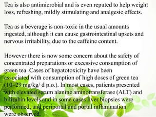Tea is also antimicrobial and is even reputed to help weight
loss, refreshing, mildly stimulating and analgesic effects.
Tea as a beverage is non-toxic in the usual amounts
ingested, although it can cause gastrointestinal upsets and
nervous irritability, due to the caffeine content.
However there is now some concern about the safety of
concentrated preparations or excessive consumption of
green tea. Cases of hepatotoxicity have been
associated with consumption of high doses of green tea
(10–29 mg/kg/ d p.o.). In most cases, patients presented
with elevated serum alanine aminotransferase (ALT) and
bilirubin levels and in some cases liver biopsies were
performed, and periportal and portal inflammation
were observed.
 