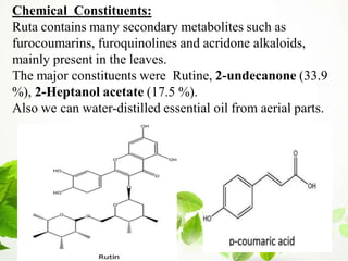 Chemical Constituents:
Ruta contains many secondary metabolites such as
furocoumarins, furoquinolines and acridone alkaloids,
mainly present in the leaves.
The major constituents were Rutine, 2-undecanone (33.9
%), 2-Heptanol acetate (17.5 %).
Also we can water-distilled essential oil from aerial parts.
 