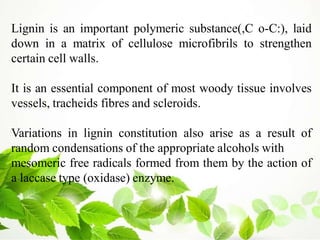 Lignin is an important polymeric substance(,C o-C:), laid
down in a matrix of cellulose microfibrils to strengthen
certain cell walls.
It is an essential component of most woody tissue involves
vessels, tracheids fibres and scleroids.
Variations in lignin constitution also arise as a result of
random condensations of the appropriate alcohols with
mesomeric free radicals formed from them by the action of
a laccase type (oxidase) enzyme.
 