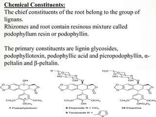 Chemical Constituents:
The chief constituents of the root belong to the group of
lignans.
Rhizomes and root contain resinous mixture called
podophyllum resin or podophyllin.
The primary constituents are lignin glycosides,
podophyllotoxin, podophyllic acid and picropodophyllin, α-
peltalin and β-peltalin.
 