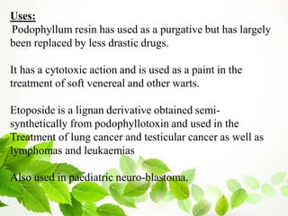 Uses:
Podophyllum resin has used as a purgative but has largely
been replaced by less drastic drugs.
It has a cytotoxic action and is used as a paint in the
treatment of soft venereal and other warts.
Etoposide is a lignan derivative obtained semi-
synthetically from podophyllotoxin and used in the
Treatment of lung cancer and testicular cancer as well as
lymphomas and leukaemias
Also used in paediatric neuro-blastoma.
 