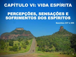 CAPÍTULO VI: VIDA ESPÍRITA
PERCEPÇÕES, SENSAÇÕES E
SOFRIMENTOS DOS ESPÍRITOS
Questões 237 à 256
2
 