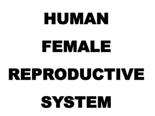 HUMAN
FEMALE
REPRODUCTIVE
SYSTEM
 