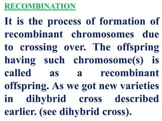 RECOMBINATION
It is the process of formation of
recombinant chromosomes due
to crossing over. The offspring
having such chromosome(s) is
called as a recombinant
offspring. As we got new varieties
in dihybrid cross described
earlier. (see dihybrid cross).
 