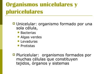 Organismos unicelulares y
pluricelulares
 Unicelular: organismo formado por una
sola célula,
 Bacterias
 Algas verdes
 Levaduras
 Protistas
 Pluricelular: organismos formados por
muchas células que constituyen
tejidos, órganos y sistemas
 