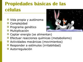 Propiedades básicas de las
células
 Vida propia y autónoma
 Complejidad
 Programa genético
 Multiplicación
 Captar energía (se alimentan)
 Efectuar reacciones químicas (metabolismo)
 Actividades mecánicas (movimientos)
 Responder a estímulos (irritabilidad)
 Autorregulación
 