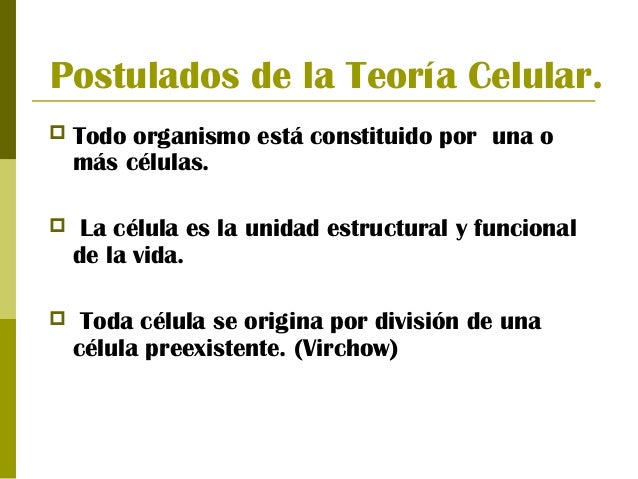 Biología Teoría Celular