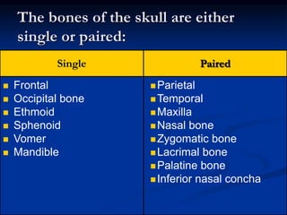 The bones of the skull are either
single or paired:
Single Paired
 Frontal
 Occipital bone
 Ethmoid
 Sphenoid
 Vomer
 Mandible
Parietal
Temporal
Maxilla
Nasal bone
Zygomatic bone
Lacrimal bone
Palatine bone
Inferior nasal concha
 
