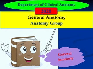 General Anatomy
Anatomy Group
Department of Clinical Anatomy
2020
 