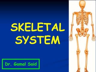SKELETAL
SYSTEM
Dr. Gamal Said
 