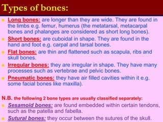 Types of bones:
 Long bones: are longer than they are wide. They are found in
the limbs e.g. femur, humerus (the metatarsal, metacarpal
bones and phalanges are considered as short long bones).
 Short bones: are cuboidal in shape. They are found in the
hand and foot e.g. carpal and tarsal bones.
 Flat bones: are thin and flattened such as scapula, ribs and
skull bones.
 Irregular bones: they are irregular in shape. They have many
processes such as vertebrae and pelvic bones.
 Pneumatic bones: they have air filled cavities within it e.g.
some facial bones like maxilla).
N.B. the following 2 bone types are usually classified separately:
 Sesamoid bones: are found embedded within certain tendons,
such as the patella and fabella.
 Sutural bones: they occur between the sutures of the skull.
 