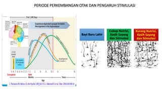 PERIODE PERKEMBANGAN OTAK DAN PENGARUH STIMULASI
Bayi Baru Lahir
Cukup Nutrisi,
Kasih Sayang
dan Stimulasi
Kurang Nutrisi,
Kasih Sayang
dan Stimulasi
 