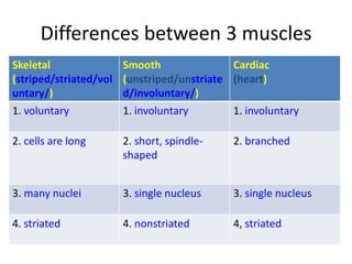 Skeletal
(striped/striated/vol
untary/)
Smooth
(unstriped/unstriate
d/involuntary/)
Cardiac
(heart)
1. voluntary 1. involuntary 1. involuntary
2. cells are long 2. short, spindle-
shaped
2. branched
3. many nuclei 3. single nucleus 3. single nucleus
4. striated 4. nonstriated 4, striated
Differences between 3 muscles
 