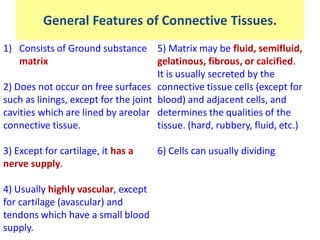 1) Consists of Ground substance
matrix
2) Does not occur on free surfaces
such as linings, except for the joint
cavities which are lined by areolar
connective tissue.
3) Except for cartilage, it has a
nerve supply.
4) Usually highly vascular, except
for cartilage (avascular) and
tendons which have a small blood
supply.
5) Matrix may be fluid, semifluid,
gelatinous, fibrous, or calcified.
It is usually secreted by the
connective tissue cells (except for
blood) and adjacent cells, and
determines the qualities of the
tissue. (hard, rubbery, fluid, etc.)
6) Cells can usually dividing
General Features of Connective Tissues.
 
