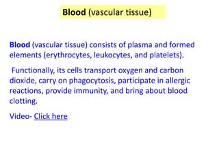 Blood (vascular tissue) consists of plasma and formed
elements (erythrocytes, leukocytes, and platelets).
Functionally, its cells transport oxygen and carbon
dioxide, carry on phagocytosis, participate in allergic
reactions, provide immunity, and bring about blood
clotting.
Video- Click here
Blood (vascular tissue)
 