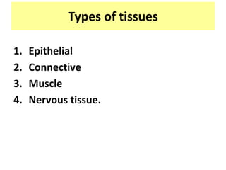 Types of tissues
1. Epithelial
2. Connective
3. Muscle
4. Nervous tissue.
 