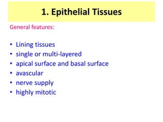 1. Epithelial Tissues
General features:
• Lining tissues
• single or multi-layered
• apical surface and basal surface
• avascular
• nerve supply
• highly mitotic
 