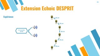 40
Extension Echoic DESPRIT
2,5 secondes
16 kHz
20 cm
20 cm
20 cm
20 cm
20 cm
Expérience
 