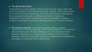  The dental hard tissues
Amelogenesis is under genetic control, hence the size, shape, shade and
caries susceptibility can be affected by genetic variation. The proteins found
in the enamel during amelogenesis are of two main groups; Amelogenins
Nonamelogenins (enamelin, ameloblastin & tuftelin). Variation in
ameloblastin and tuftelin contribute to caries susceptibility. In addition,
variation in enamelin may interact with the presence of S. mutans infection.
 The immune response: One aspect of genetic effects is genetic
modification in immune response. Since mutans streptococci are found in
almost all individuals, the large differences in oral colonization levels
between individuals can be explained by variations in the immune
response. Individuals with either inherited or acquired immune deficiency
are subject to increased risk for dental caries.
 