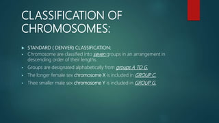 CLASSIFICATION OF
CHROMOSOMES:
 STANDARD ( DENVER) CLASSIFICATION:
 Chromosome are classified into seven groups in an arrangement in
descending order of their lengths.
 Groups are designated alphabetically from groups A TO G.
 The longer female sex chromosome X is included in GROUP C.
 Thee smaller male sex chromosome Y is included in GROUP G.
 