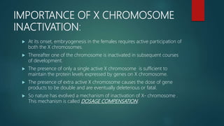 IMPORTANCE OF X CHROMOSOME
INACTIVATION:
 At its onset, embryogenesis in the females requires active participation of
both the X chromosomes.
 Thereafter one of the chromosome is inactivated in subsequent courses
of development.
 The presence of only a single active X chromosome is sufficient to
maintain the protein levels expressed by genes on X chromosome.
 The presence of extra active X chromosome causes the dose of gene
products to be double and are eventually deleterious or fatal.
 So nature has evolved a mechanism of inactivation of X- chromosome .
This mechanism is called DOSAGE COMPENSATION.
 