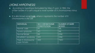 LYONS HYPOTHESIS:
 According to hypothesis formulated by Mary F Lyon in 1962, the
of Barr bodies in a cell is equal to total number of X chromosomes minus
1.
 It is also known as n-1 rule, where n represents the number of X
chromosome in the cell.
INDIVIDUAL SEX CHROMOSOME
CONSTITUTION
NUMBER OF BARR
BODIES
Normal male XY NIL
Turners syndrome XO NIL
Normal female XX ONE
Klinefelter’s syndrome XXY ONE
Triple X chromosome
super female)
XXX TWO
 