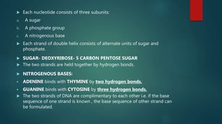  Each nucleotide consists of three subunits:
a. A sugar
b. A phosphate group
c. A nitrogenous base
 Each strand of double helix consists of alternate units of sugar and
phosphate.
 SUGAR- DEOXYRIBOSE- 5 CARBON PENTOSE SUGAR
 The two strands are held together by hydrogen bonds.
 NITROGENOUS BASES:
 ADENINE binds with THYMINE by two hydrogen bonds.
 GUANINE binds with CYTOSINE by three hydrogen bonds.
 The two strands of DNA are complimentary to each other i.e. if the base
sequence of one strand is known , the base sequence of other strand can
be formulated.
 