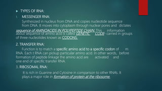  TYPES OF RNA:
1. MESSENGER RNA:
Synthesized in nucleus from DNA and copies nucleotide sequence
from DNA. It moves into cytoplasm through nuclear pores and dictates
sequence of AMINOACIDS IN POLYPEPTIDE CHAIN. This information
about sequence of amino acid is called GENETIC CODE- carried in groups
of three nucleotides known as CODONS.
2. TRANSFER RNA:
Function is to match a specific amino acid to a specific codon of m
RNA. Each t RNA can pickup particular amino acid. In other words, before
formation of peptide linkage the amino acid are activated and
one end of specific transfer RNA.
3. RIBOSOMAL RNA:
It is rich in Guanine and Cytosine in comparison to other RNA’s. It
plays a major role in formation of protein at the ribosome.
 