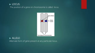  LOCUS:
The position of a gene on chromosome is called locus.
 ALLELE:
Alternate form of gene present at any particular locus.
 