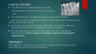 CLINICAL FEATURES:
 The affected tooth exhibits large crown with
elongated pulp chamber and short rudimentary
root.
 The affected tooth is usually rectangular in shape with minimum
constriction at the cervical area; moreover the furcation area of tooth is more
apically placed than normal.
 Taurdontism commonly affects the multirooted permanent molars and
sometimes premolars, it is rarely seen in primary dentition.
 This anomaly may be sometimes associated with some craniofacial
deformities e.g. Down’s syndrome, Klinefelter syndrome, Amelogenesis
imperfecta etc.
TREATMENT:
No treatment is required for taurodontism; however this anomaly can pose
some difficulty during root canal treatment.
 