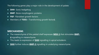 The following genes play a major role in the development of palate:
 SHH- Sonic hedgehog
 BMP- Bone morphogenic proteins
 FGF- Fibroblast growth factors
 Members of TGFβ – Transforming growth factorβ.
MECHANISM:
 The mesenchyme of the palatal shelf expresses MSX-1 that stimulates BMP-
4 signalling in mesenchyme.
 This leads to expression of SHH signalling in apical ectoderm.
 SHH further induces BMP-2 signalling in underlying mesenchyme.
 