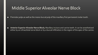 Middle Superior Alveolar Nerve Block
■ Premolar pulps as well as the mesio-buccal pulp of the maxillary first permanent molar tooth.
■ Anterior Superior Alveolar Nerve Block; Maxillary incisors and canine teeth. It can be anesthetized
either by an infraorbital nerve block or by a buccal infiltration in the region of the apex of the canine.
 