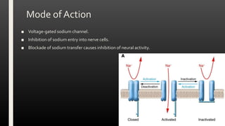 Mode of Action
■ Voltage-gated sodium channel.
■ Inhibition of sodium entry into nerve cells.
■ Blockade of sodium transfer causes inhibition of neural activity.
 