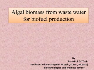 Algal biomass from waste water
for biofuel production
By
Revathi.L M.Tech
kandhan sankaranarayanan M.tech., D.acu., MD(acu).
Biotechnologist and wellness advisor
 