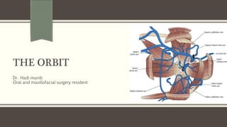 THE ORBIT
Dr. Hadi munib
Oral and maxillofacial surgery resident
 