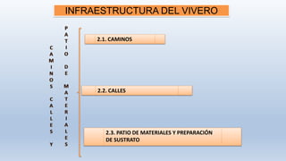 INFRAESTRUCTURA DEL VIVERO
2.1. CAMINOS
2.2. CALLES
2.3. PATIO DE MATERIALES Y PREPARACIÓN
DE SUSTRATO
 