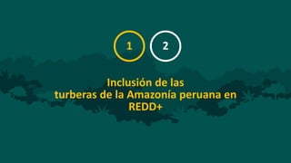 MRV REDD+ y contabilidad de GEI