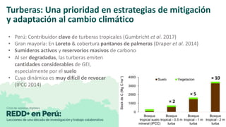 MRV REDD+ y contabilidad de GEI