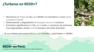 MRV REDD+ y contabilidad de GEI